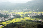 田园风光