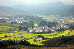 田园风光