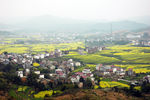 乡村景色