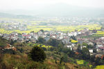 田园风光