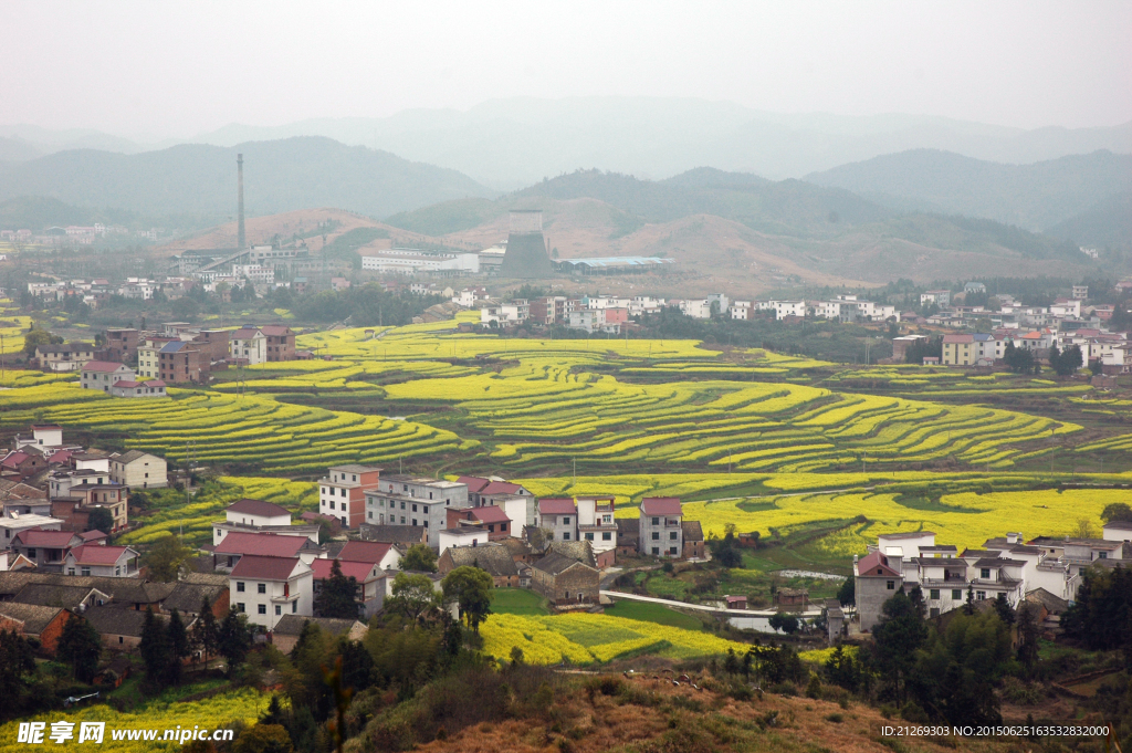 乡村景观