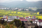乡村风光