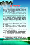 服务承诺保证书