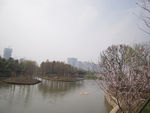 湿地公园