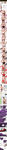 三角内裤宝贝描述详情页