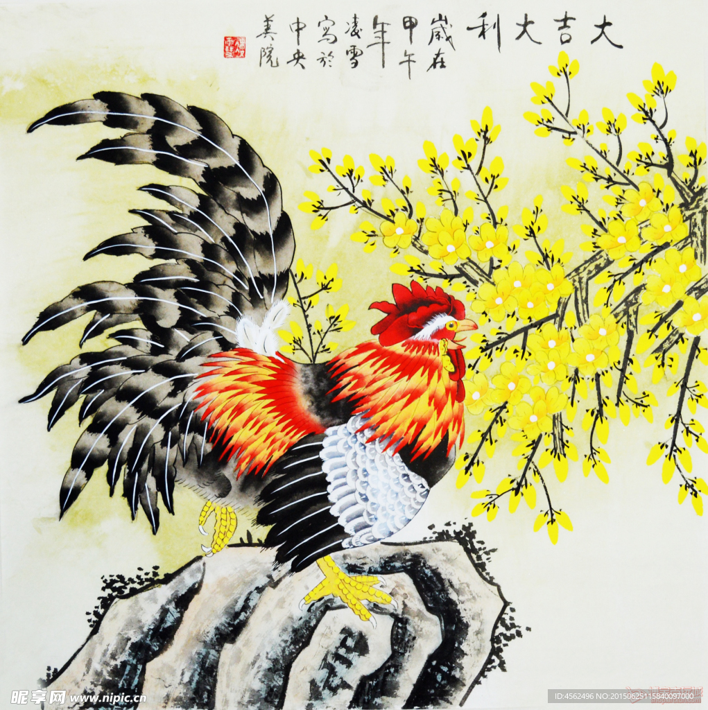 公鸡