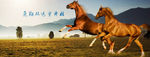 网站大图banner