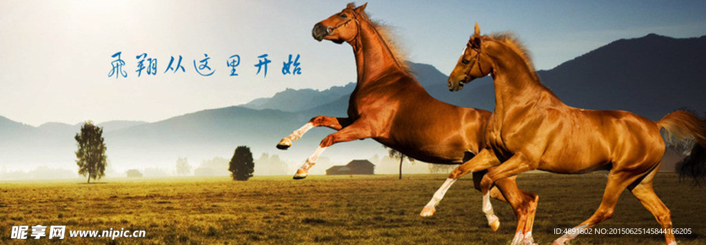 网站大图banner