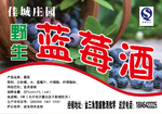 蓝莓酒