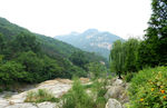 山中美景