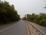 马路