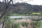 池塘山水