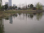 湿地公园