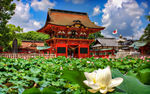日本建筑