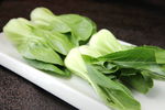 油菜
