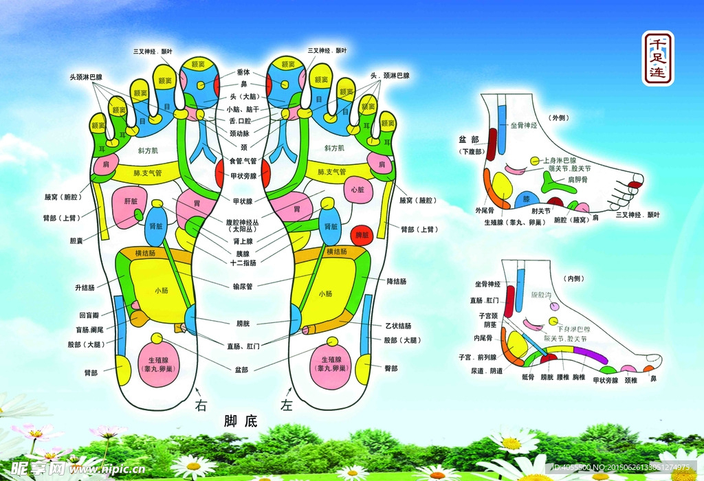 足部穴位