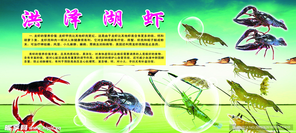 龙虾
