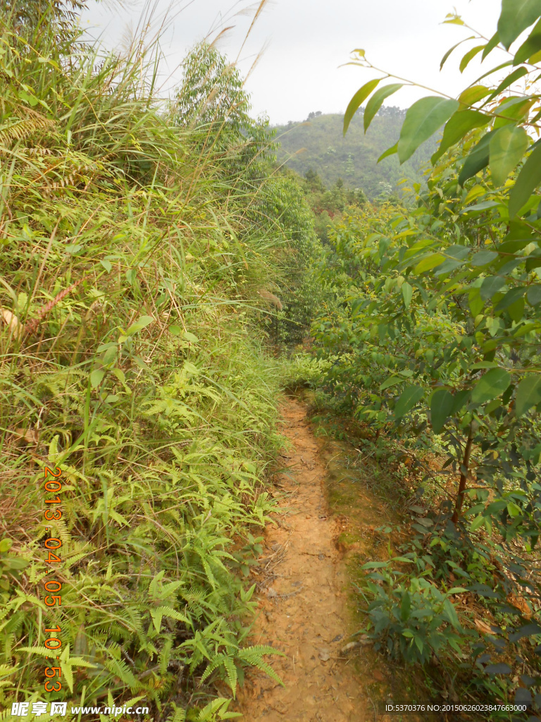山村风光