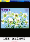 百年好合（矢量图）