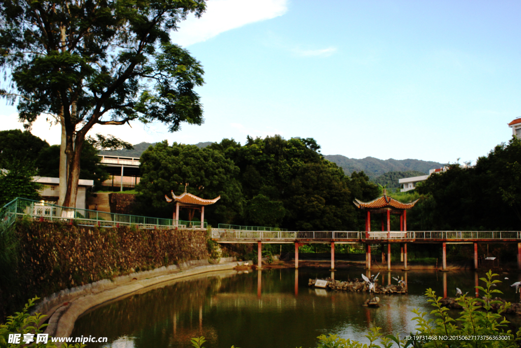 龙岩学院