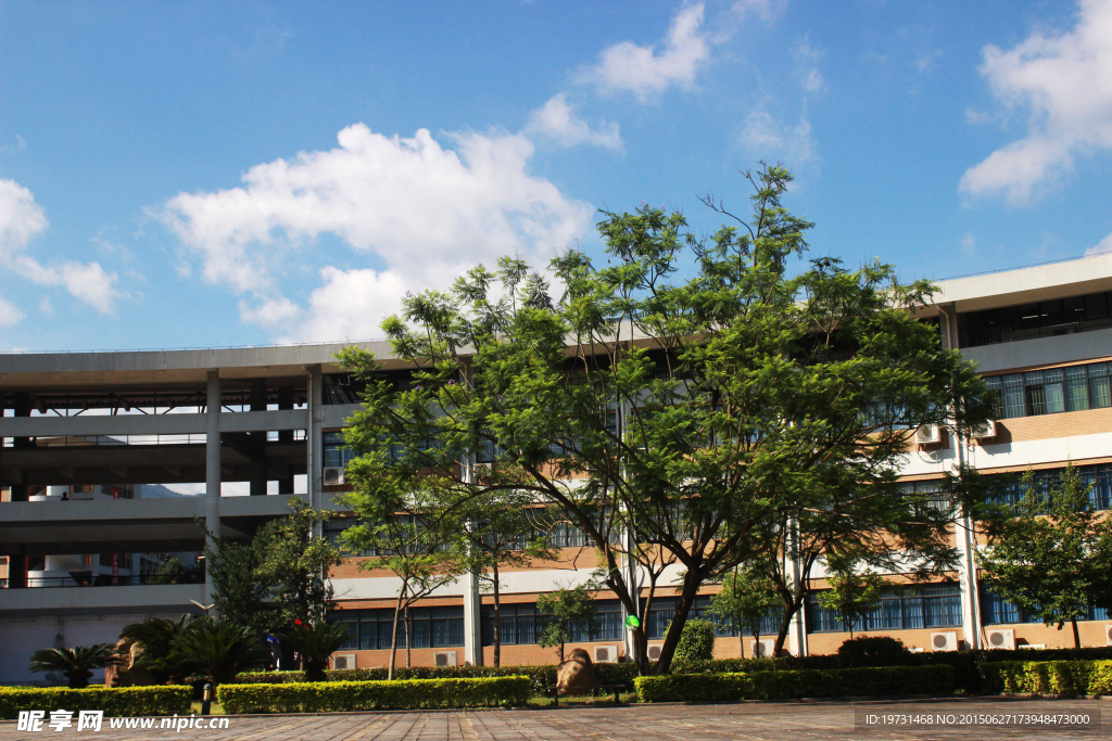 龙岩学院