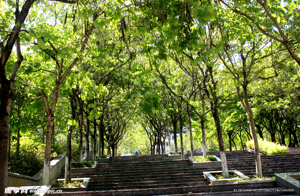 龙岩学院大阶梯