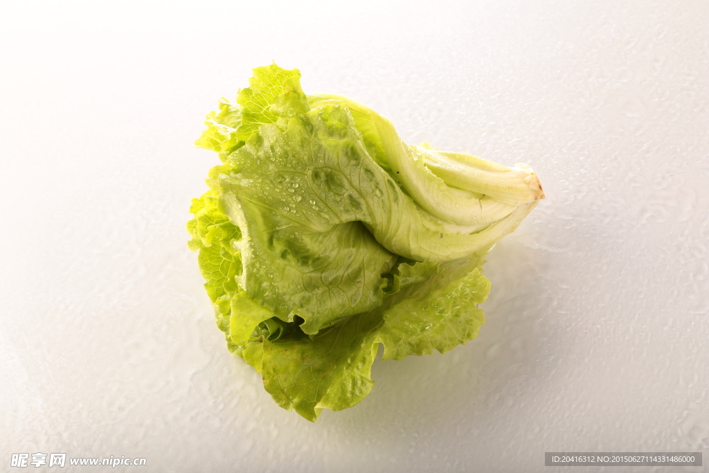 生菜
