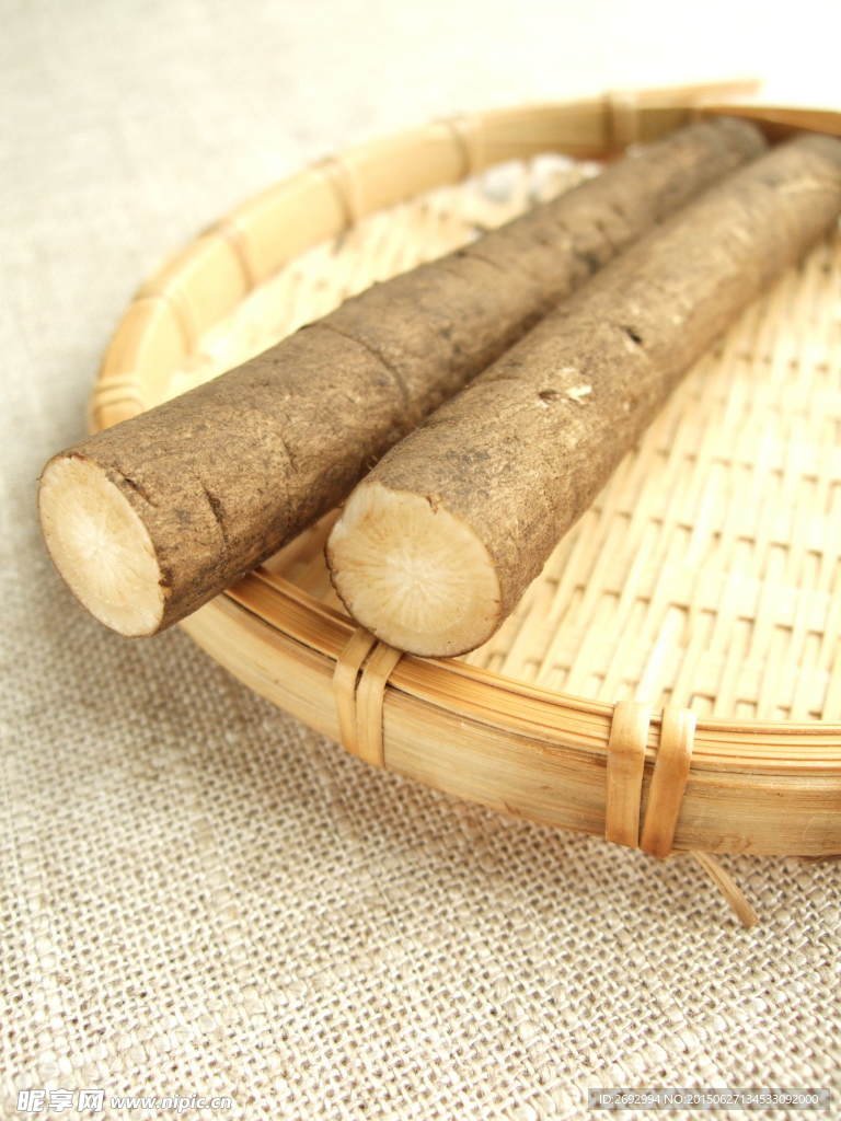 牛蒡图片