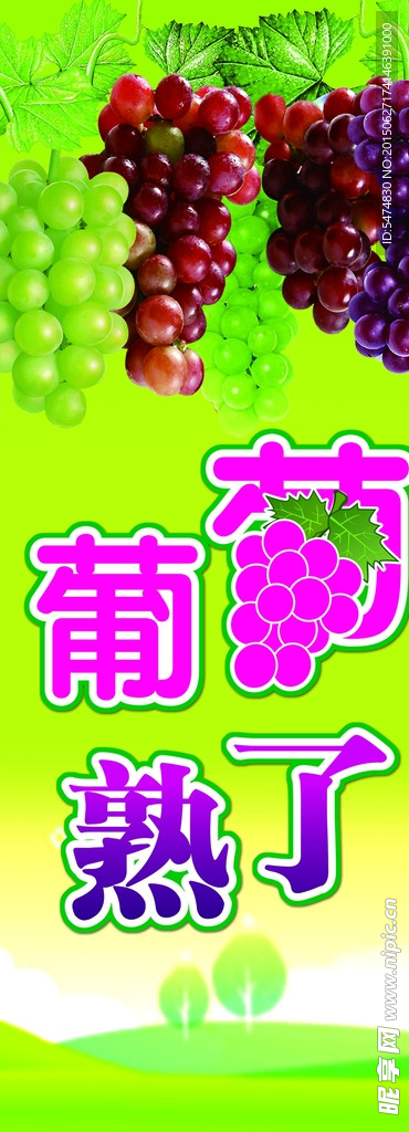葡萄