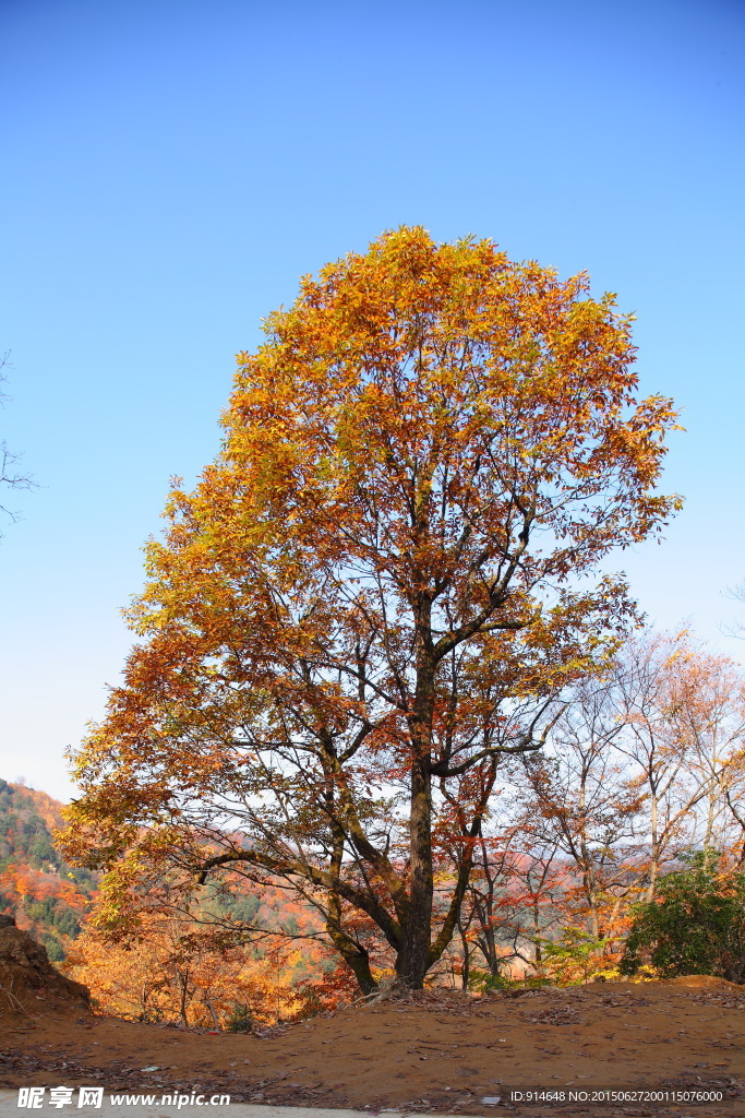 山水风光