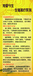 宠爱今生