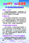 HPV筛查  预防宫颈癌