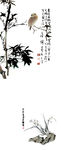 自信鸟