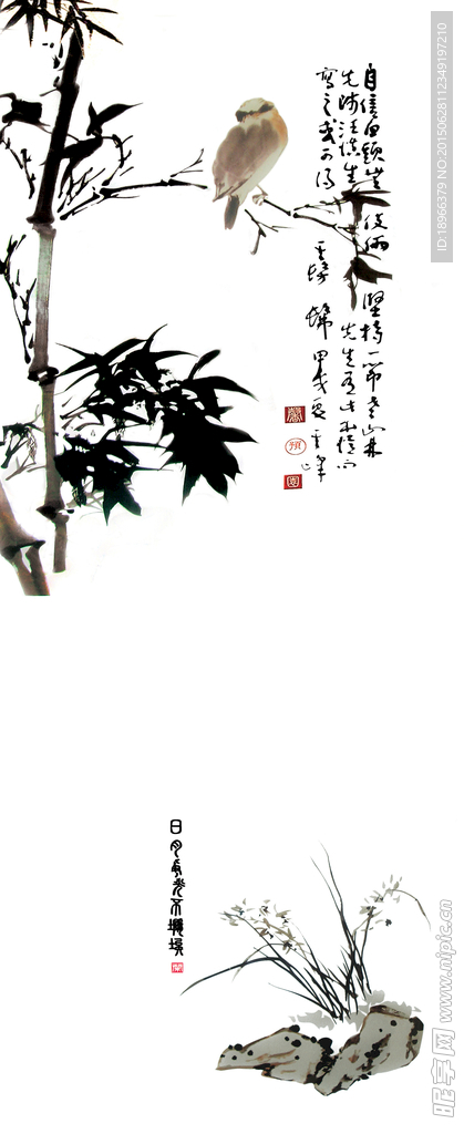 自信鸟