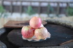 苹果