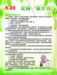 全国爱牙日