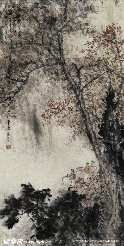 晨曦