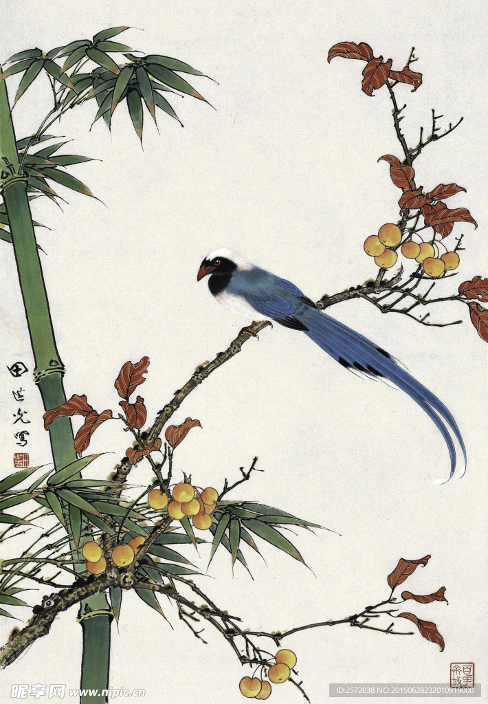竹叶绶带