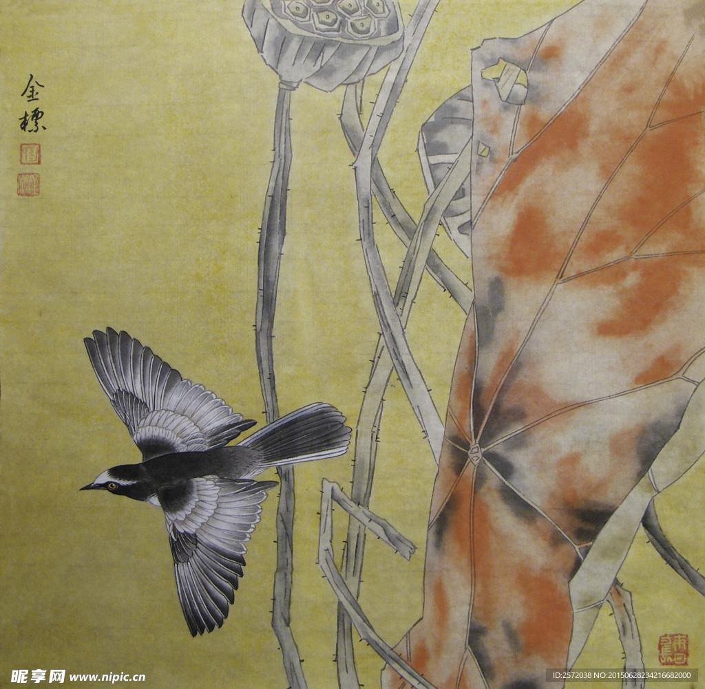 爽秋