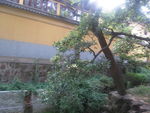 寺庙建筑