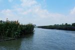 东莞麻涌华阳湖湿地公园
