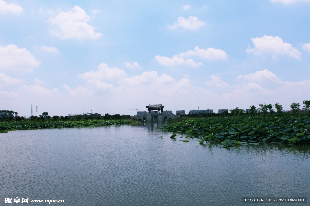 东莞麻涌华阳湖湿地公园