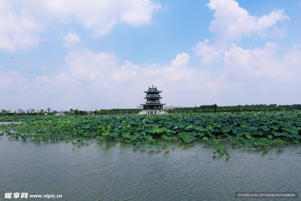 东莞麻涌华阳湖湿地公园