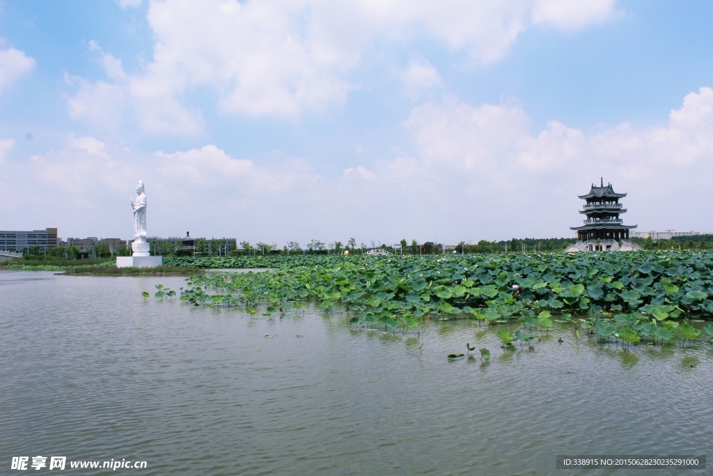 东莞麻涌华阳湖湿地公园