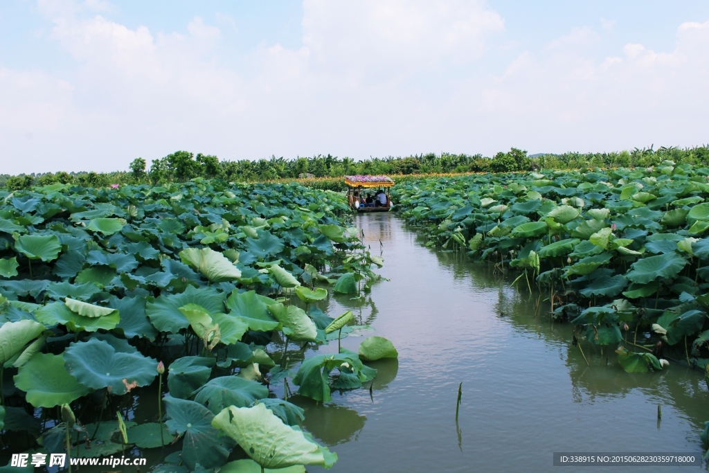 东莞麻涌华阳湖湿地公园