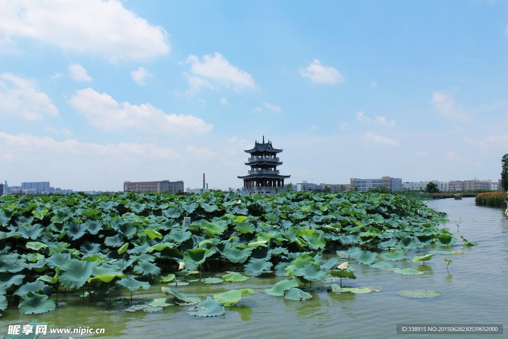 东莞麻涌华阳湖湿地公园