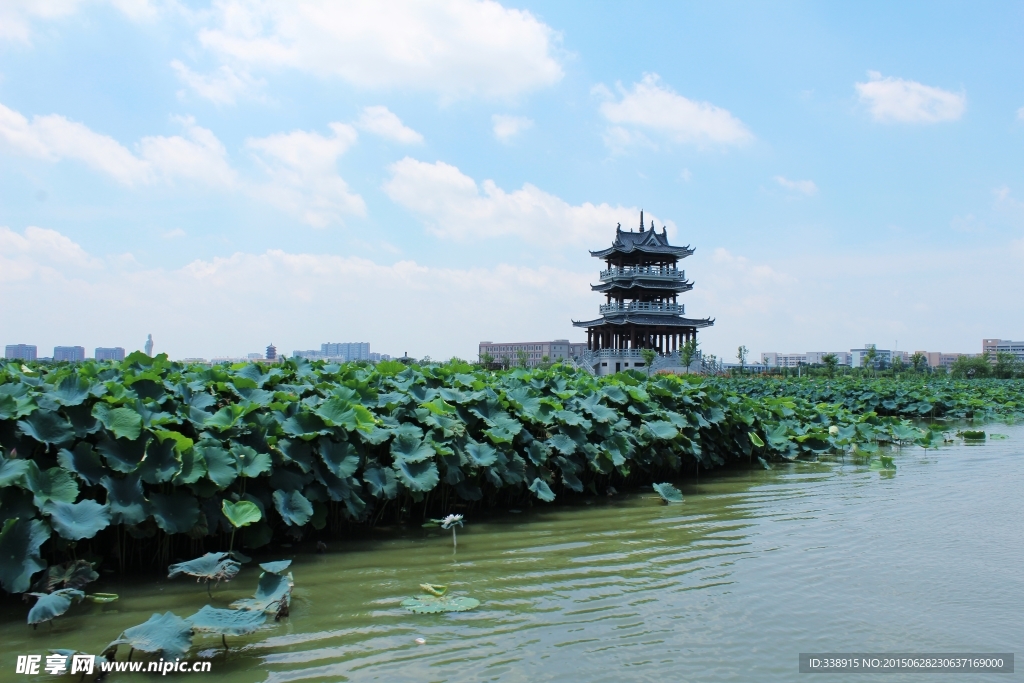 东莞麻涌华阳湖湿地