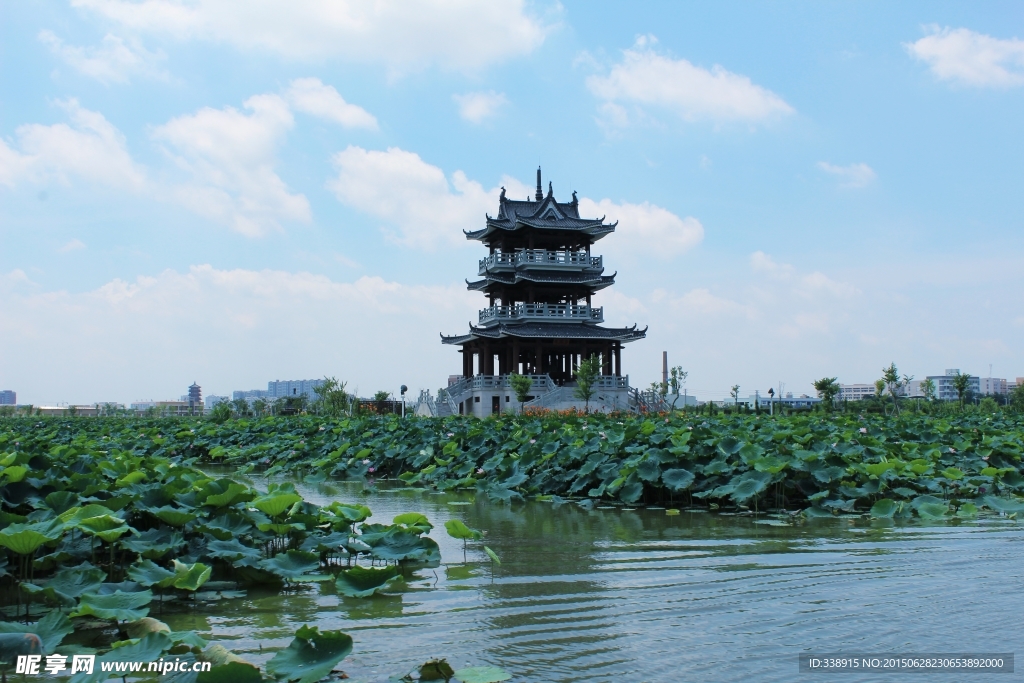 东莞麻涌华阳湖