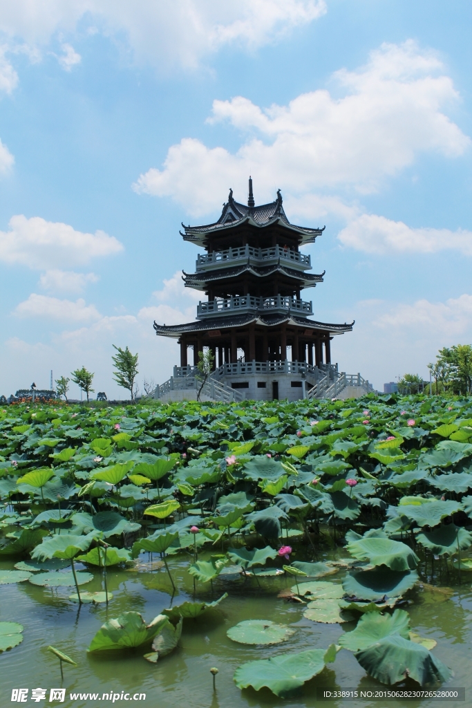 东莞麻涌华阳湖