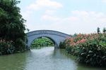 东莞麻涌华阳湖